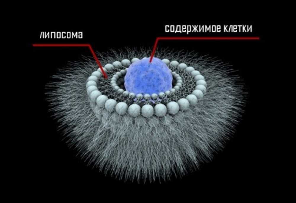 Липосомы. Драгосомы липосомы. Липосомы в косметологии наносомы. Липосомы это химия. Липосомы фото.