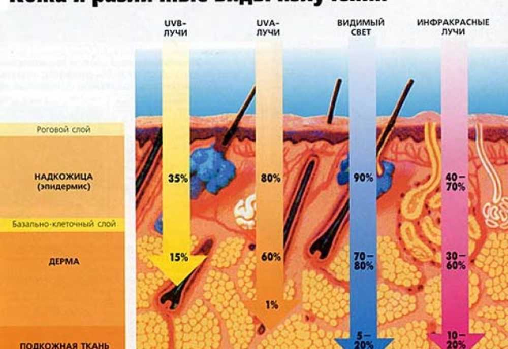 Воздействие солнечных лучей на человека