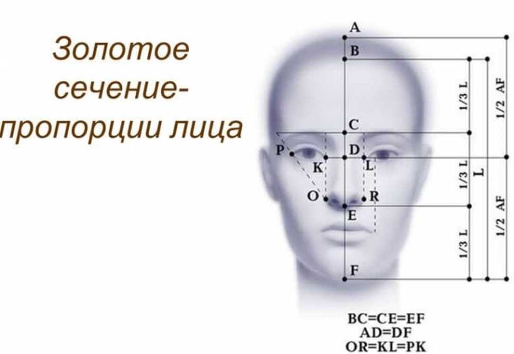 Лицо рассчитать. Принцип золотого сечения лица. Идеальные пропорции лица золотое сечение. Леонардо золотое сечение пропорции лица. Золотое сечение в пропорциях лица человека.