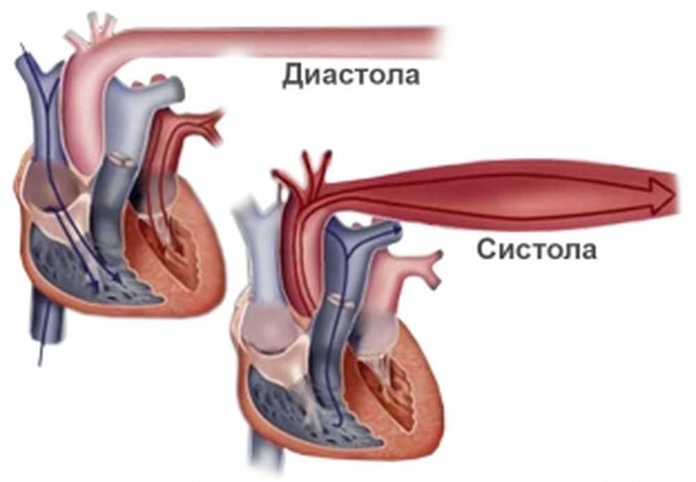 Систола и диастола. Давление в сердце в систолу и диастолу. Артериальное давление систола и диастола сердца. Кровяное давление в сосудах систола.